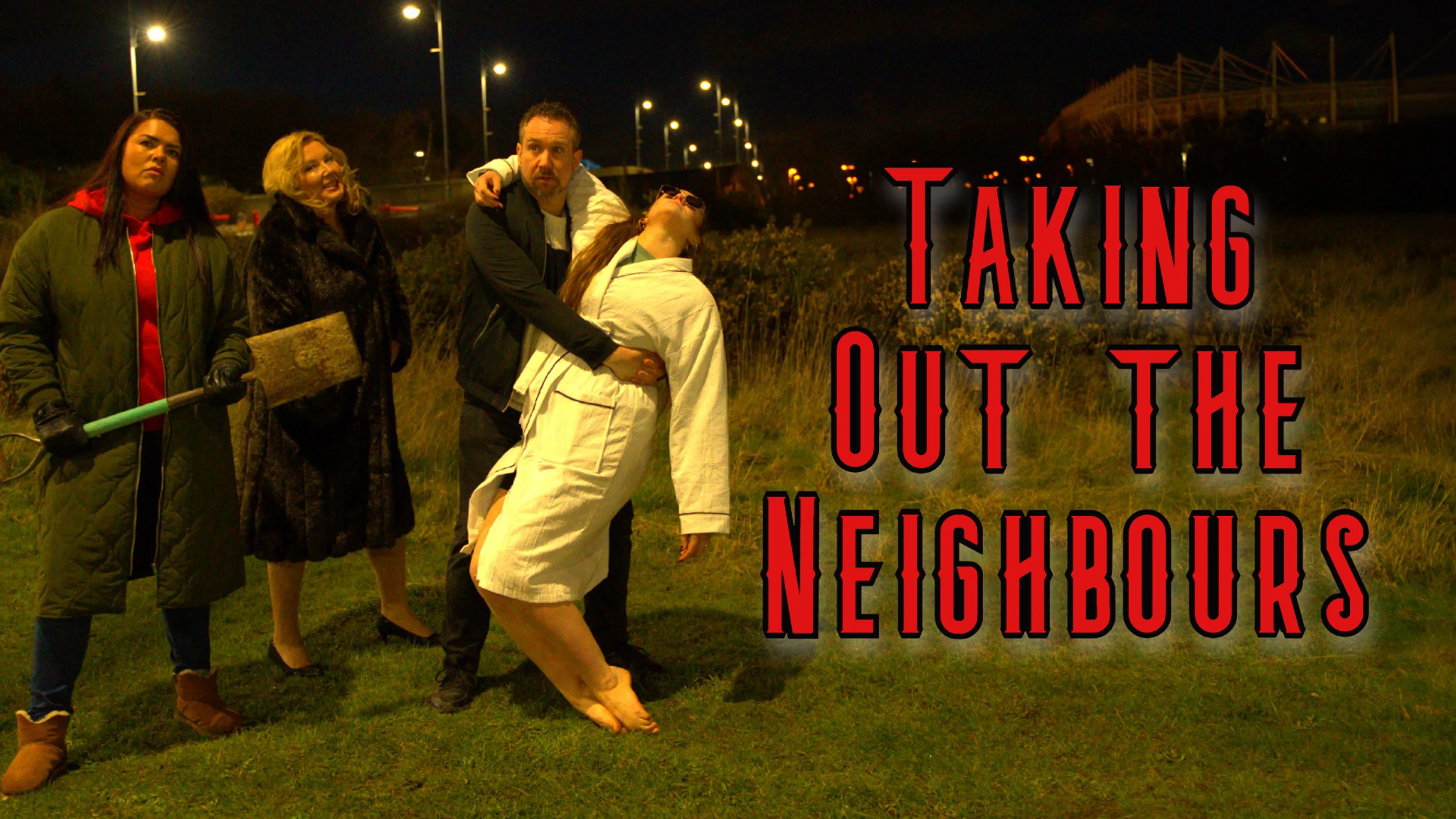 Taking Out the Neighbours poster